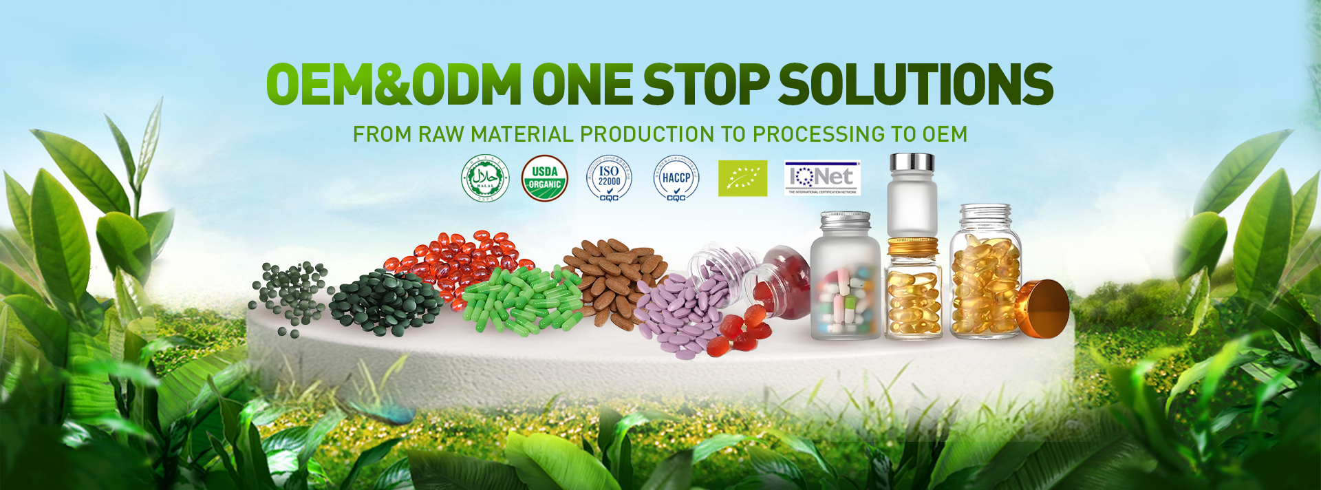 Quality Hydrolyzed Sponge factory