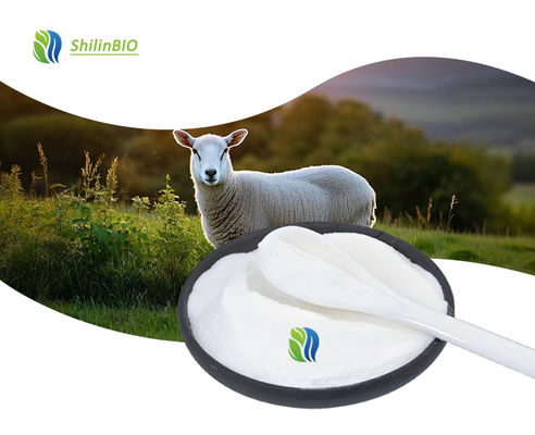 Sheep Placenta Extract Powder