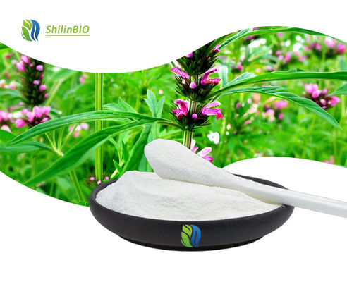 Motherwort Herb Extract Stachydrine Hydrochloride 