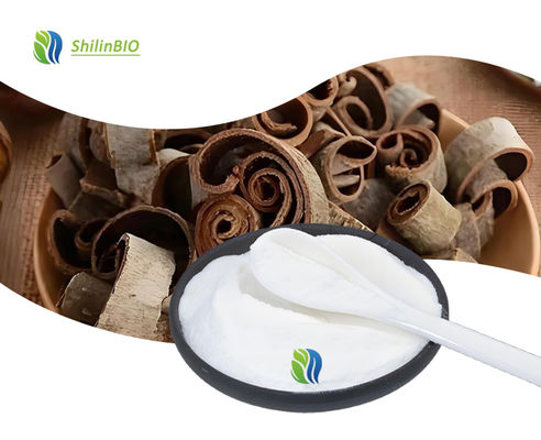 Magnolia Bark Extract Honokiol 