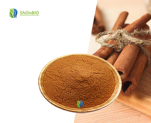 High Quality 100% Pure Ceylon Cinnamon Powder Food Grade Pure Ceylon ...
